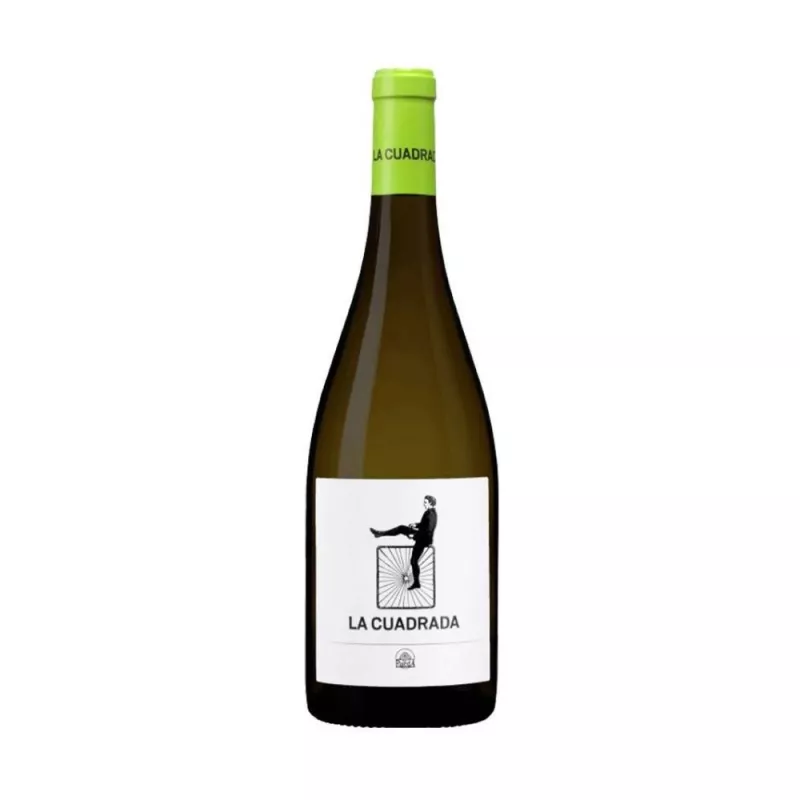 La Cuadrada Verdejo 2023, principal