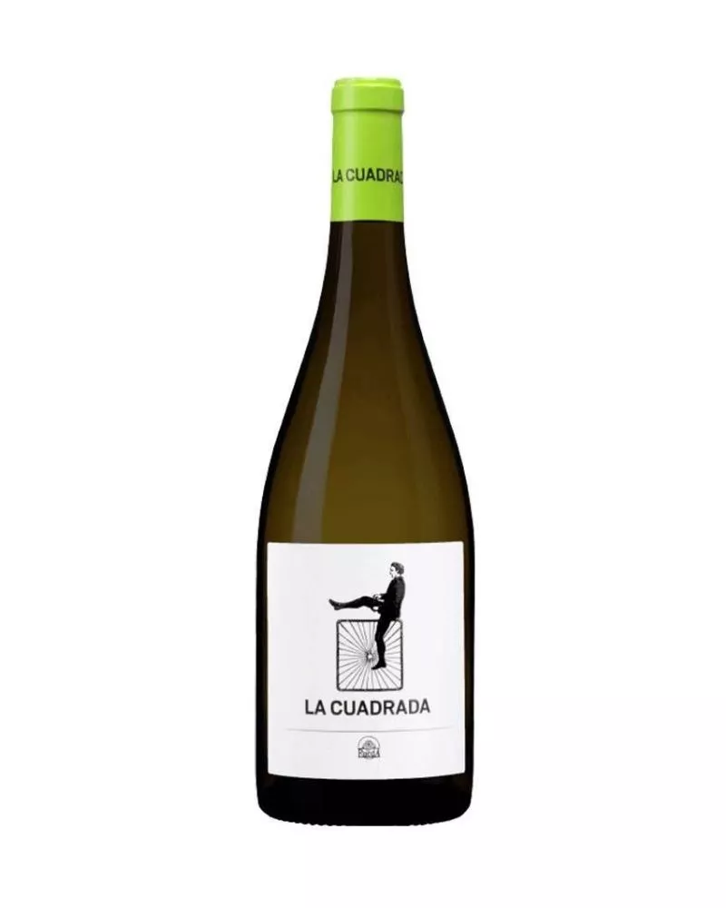 La Cuadrada Verdejo 2023, principal