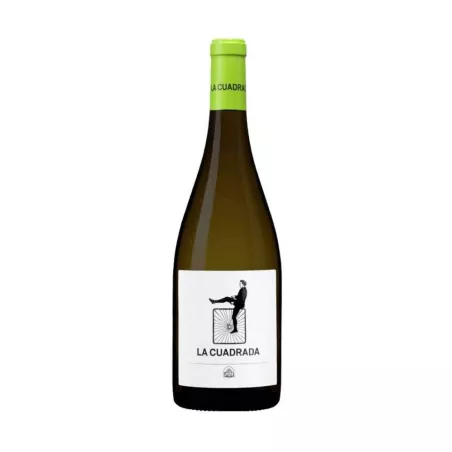 La Cuadrada Verdejo 2023, principal
