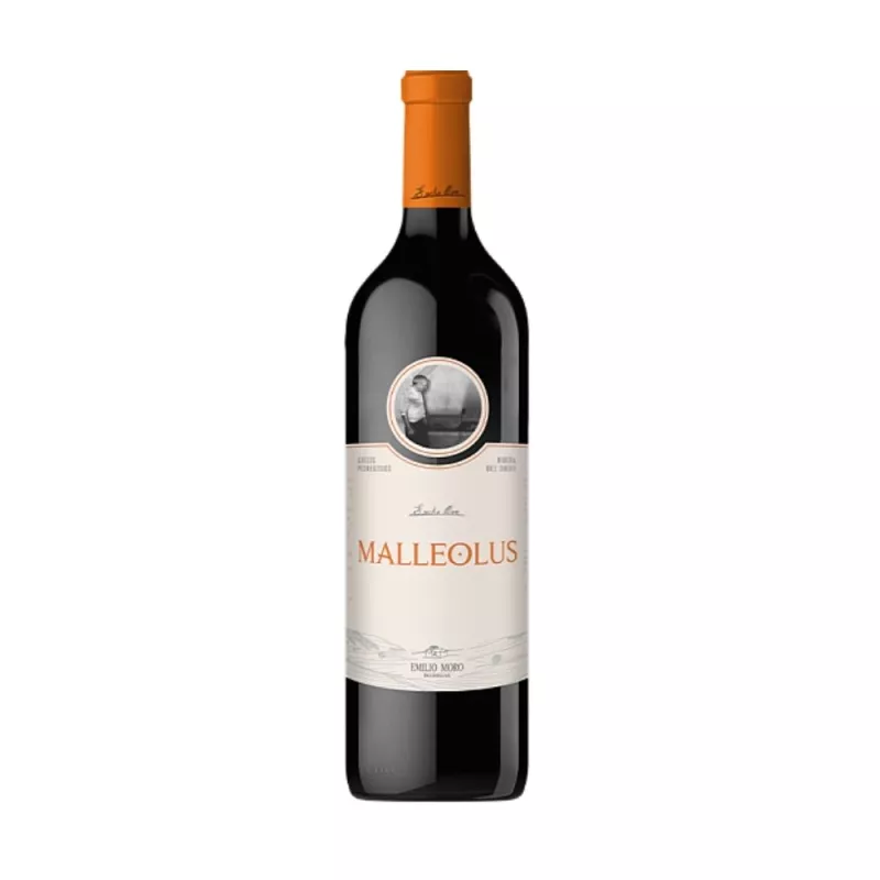 Malleolus 2022, principal