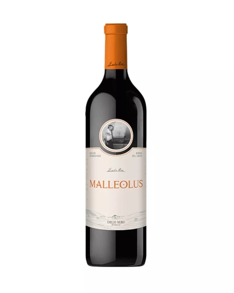 Malleolus 2022, principal