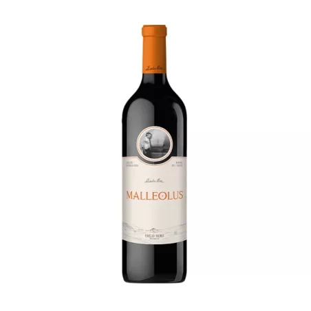 Malleolus 2022, principal