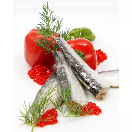 La Brujula Sardinas en Aceite de Oliva 20 25 piezas, emplatado