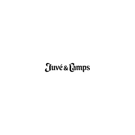 Juvé & Camps