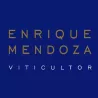 Enrique Mendoza