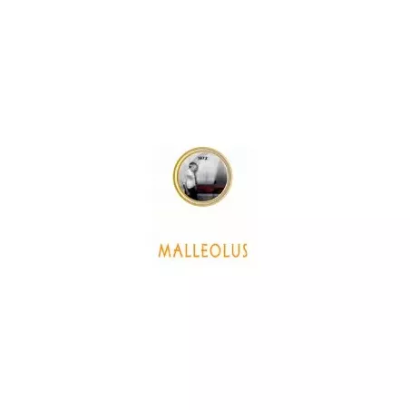 Malleolus